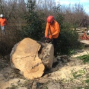 Discovery Tree Care, Inc. - Landscape Designers & Consultants