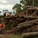 Longhorn Tree Service - Arborists