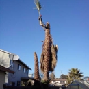 Fast Tree Service - Tree Service