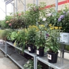 Tractor Supply Co gallery