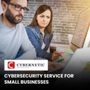 Cybernetic Networks Inc. - Computer Software & Services