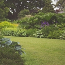 Superior Landscapes - Tree Service