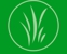 Steven Clark's Garden Maintenance - Garden Centers
