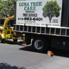 luna tree care gallery