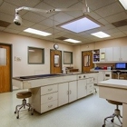 North Avenue Animal Hospital