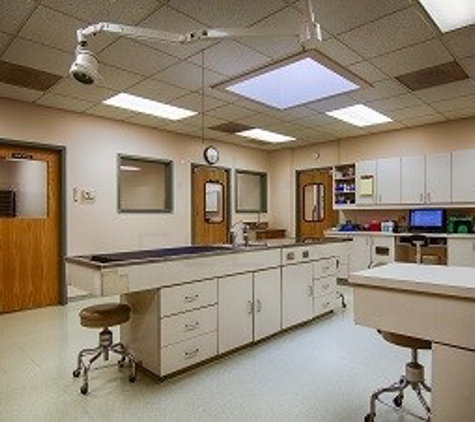 North Avenue Animal Hospital - Chicago, IL