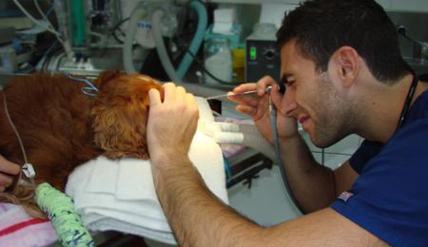 Kirrawee Veterinary Hospital - Kirrawee, NSW