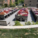 Walnut Place Apartments - Apartments