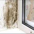 National Mold Remediation - Mold Remediation