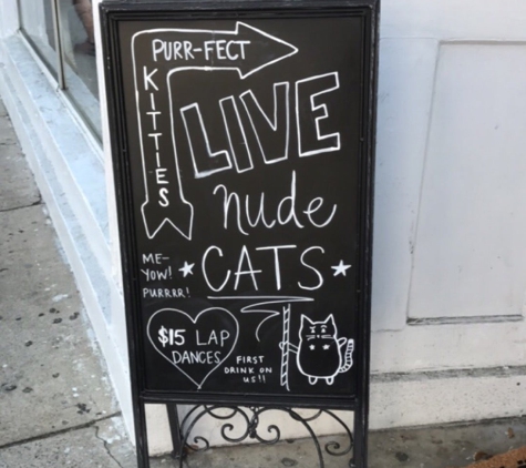 Pounce Cat Cafe - Charleston, SC