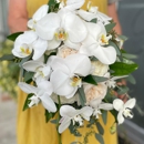 Beneva Weddings - Delivery Service