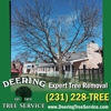 Deering Tree Service gallery
