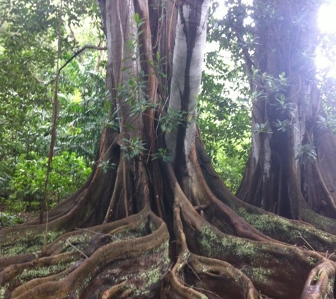 National Tropical Botanical - Koloa, HI