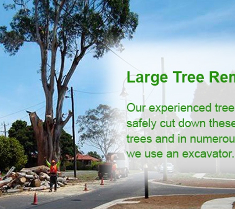 Drouin Tree Services - Drouin, VIC. Large Tree Removals