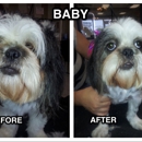 Scruffy to Fluffy Pet Spa - Kennels