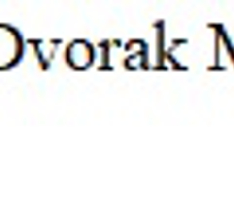 Dvorak Consultants Inc - Fort Lauderdale, FL