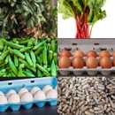 Harbison Farm / Farm Market - Farming Service