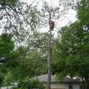 Kimball Tree Service - General Contractors