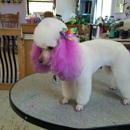 Nancy Lou's Doggie Doo's - Pet Grooming