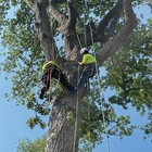 Rumaldo Landscape & Tree Service