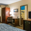 Comfort Inn Ludington near US-10 - Motels