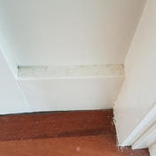Gallery Image Number 5