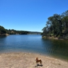 Sonoma Valley Regional Park gallery