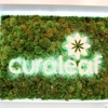 Curaleaf MD Reisterstown gallery