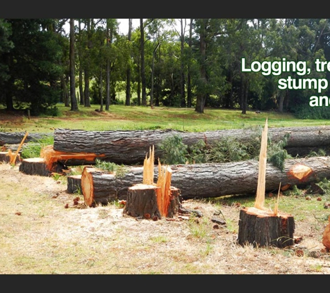Woodstock Tree and Stump Removal - Coldstream, VIC. Logging