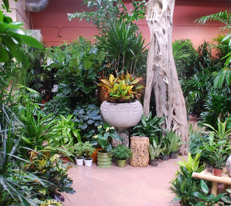 Exotic Plants Ltd. - Sacramento, CA