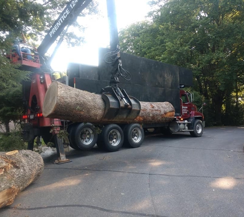 Cope's Mulch Delivered To You & Tree Service - Clyde, NC