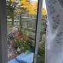Photo #11