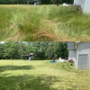 Marians Grass Cutting & Power Washing Services gallery