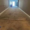 Compass Carpet Repair & Cleaning - Carpet & Rug Cleaners