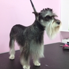 Puppylicious Pet grooming salon