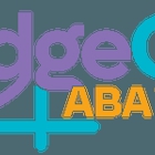 BridgeCare ABA NM