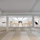 Apple West Town Mall