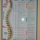 Meridian Chiropractic