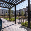 The Daley at Shady Grove Metro Apartments - Apartments