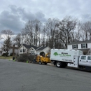 Green Tree Services - Tree Service