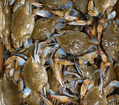 A & A Crab House - Deltona, FL