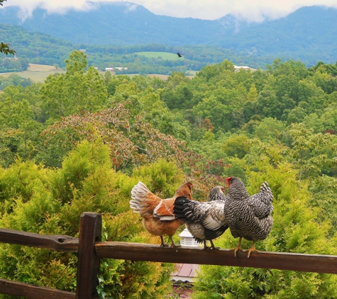 The Guest House at Dogwood Ridge - Franklin, NC