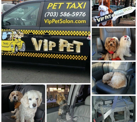VIP Pet - Alexandria, VA