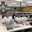 Ambient Services LLC - Laundromats