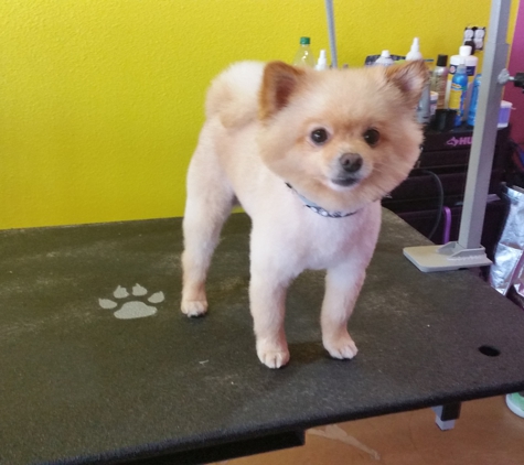 Best in Show Dog Grooming - Brookings, OR