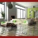 Rainbow International Carpet Cleaning and Fire and Water Damage - Water Damage Restoration