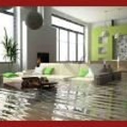 Rainbo Elite Carpet Cleaning & Water Damage