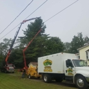Stumpin By Mike - Tree Service
