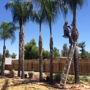 Vicente`s Tree Service