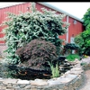 Redmill Landscape & Nursery gallery